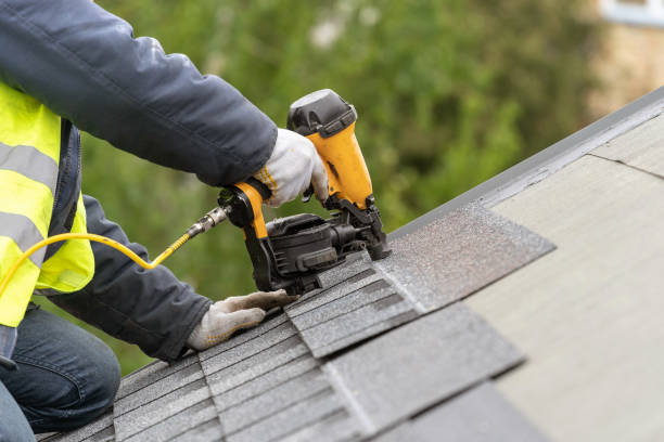 Best Skylight Installation and Repair  in Monette, AR
