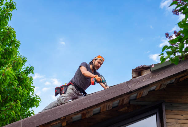 Best Emergency Roof Repair Services  in Monette, AR
