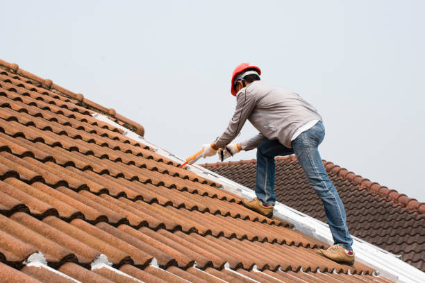 Best Wood Shake Roofing  in Monette, AR
